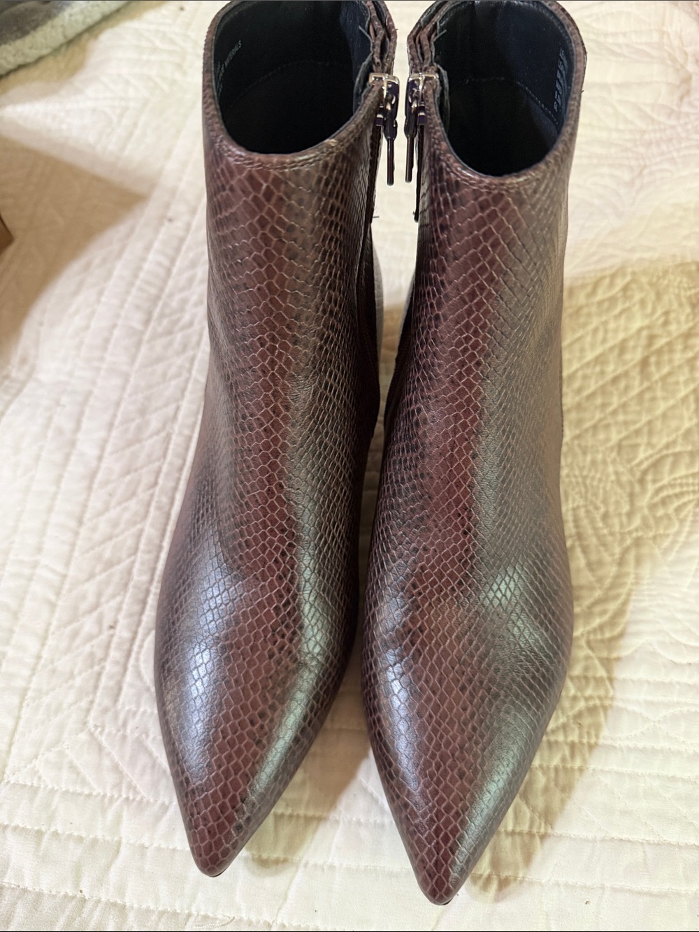 AEROSOLES Brown Snake-Embossed Pointed Toe Ankle Booties